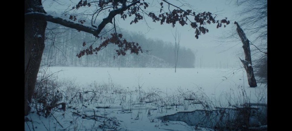 许多年的等待都化作尘埃落定