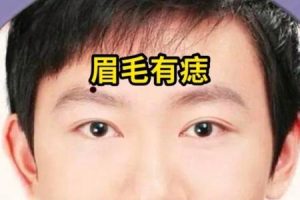 眉毛长痣2025年05月27日分析你的事业