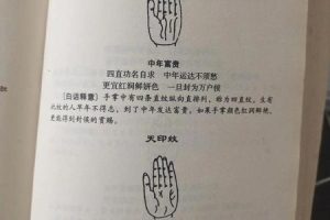 手相2025年06月01日解析运气