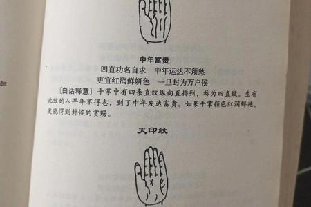 手相2025年06月01日解析运气