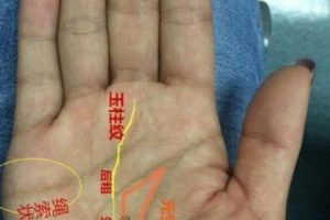 手相2025年06月01日怎样适合婚姻